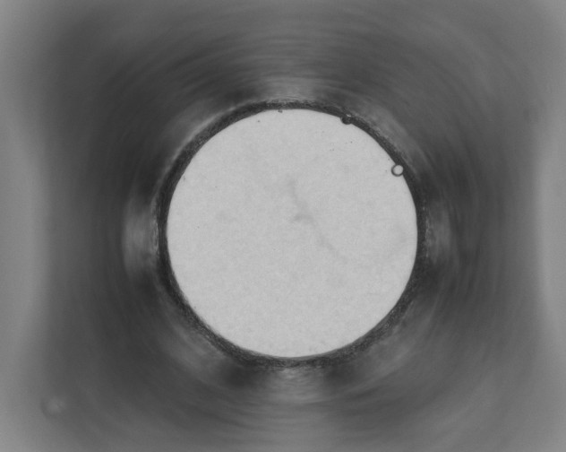 X0000111950584200908101224