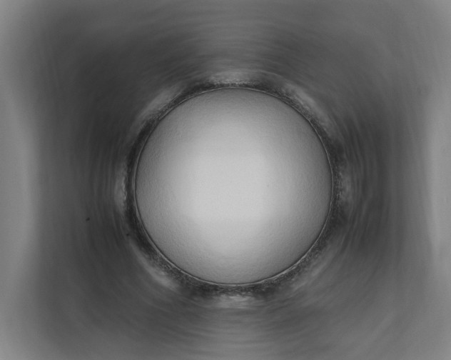 X0000111950586200908101224