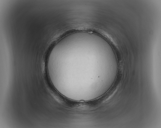 X0000111950589200908101224