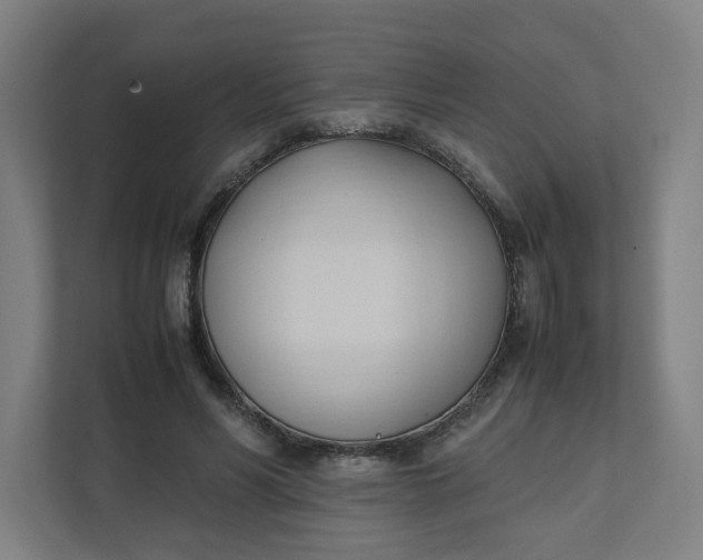 X0000111950590200908101224