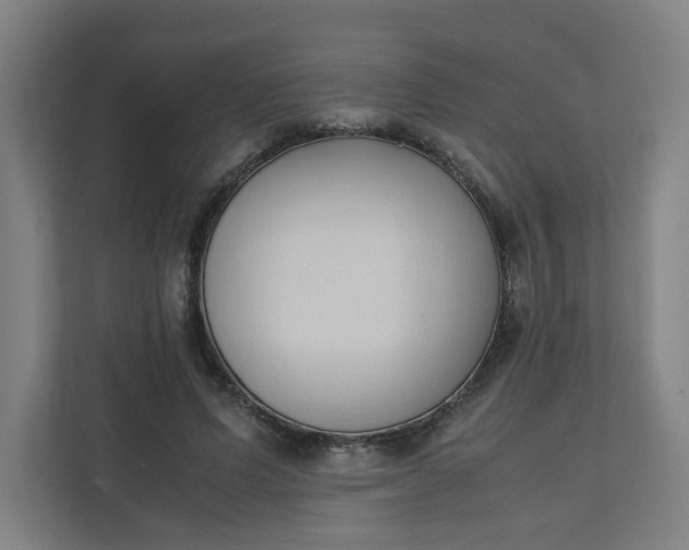 X0000111950591200908101224