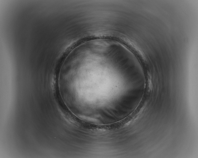 X0000111950592200908101224