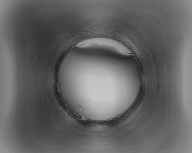 X0000111950593200908101224