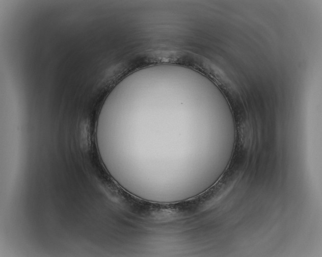 X0000111950594200908101224