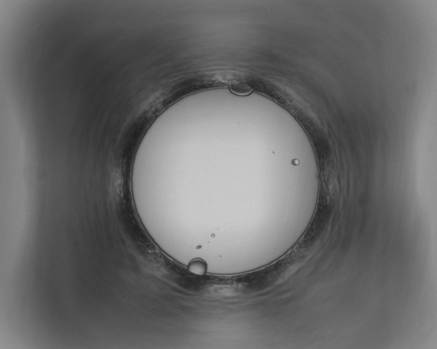 X0000111950595200908101224