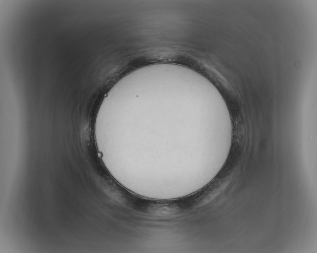 X0000111950597200908101224