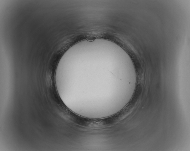 X0000111950599200908101224