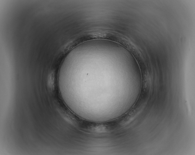 X0000111950600200908101224