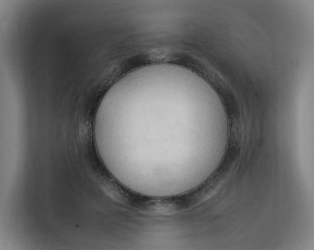 X0000111950601200908101224