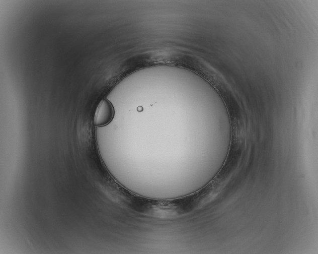 X0000111950603200908101224