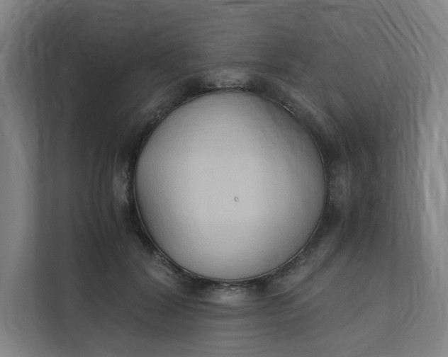 X0000111950604200908101224