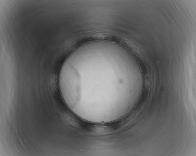 X0000111950605200908101224