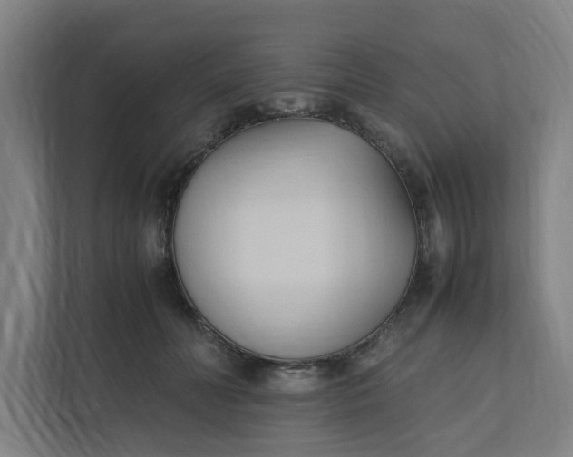 X0000111950606200908101224