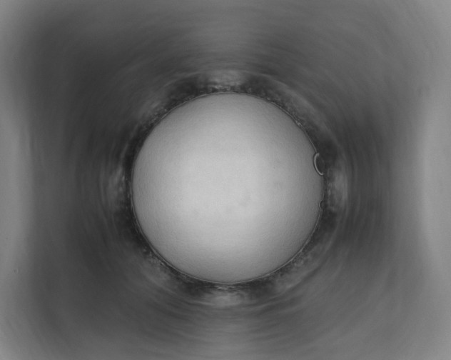 X0000111950608200908101224