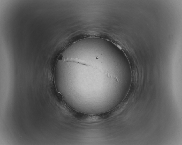 X0000111950609200908101224