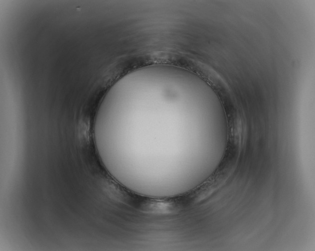 X0000111950610200908101224