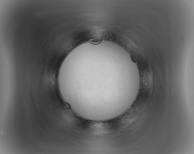 X0000111950611200908101224