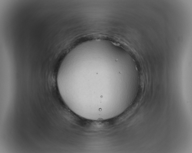 X0000111950613200908101224