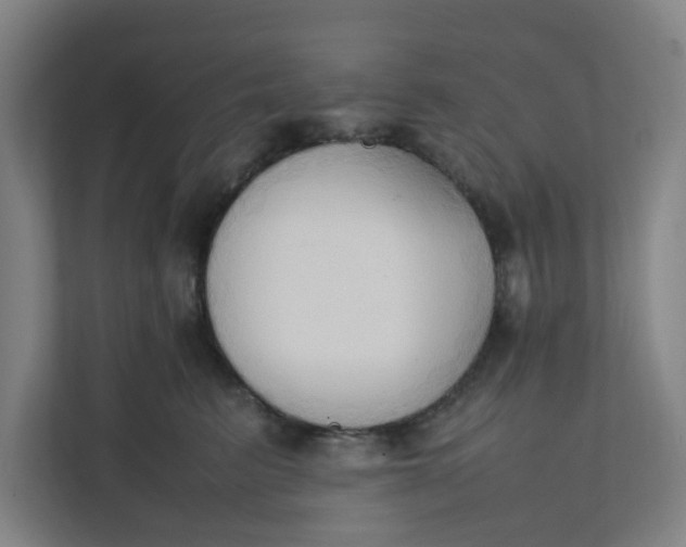 X0000111950615200908101224