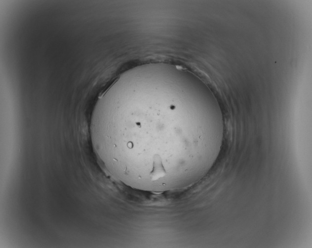 X0000111950617200908101223