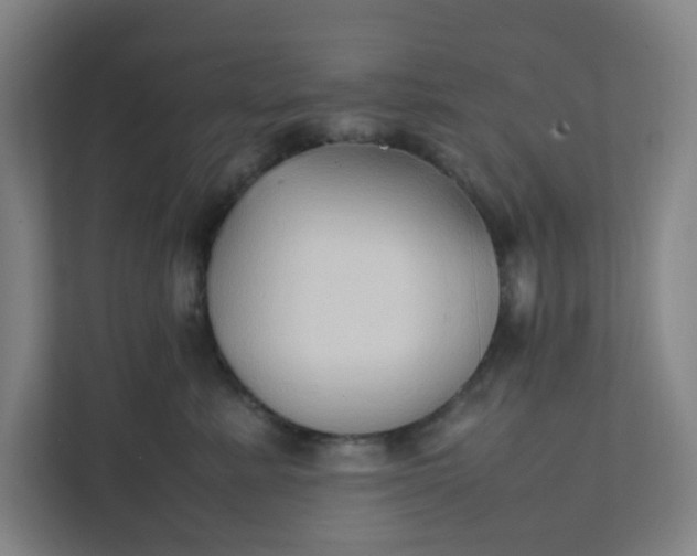 X0000111950619200908101223