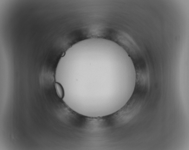 X0000111950621200908101223