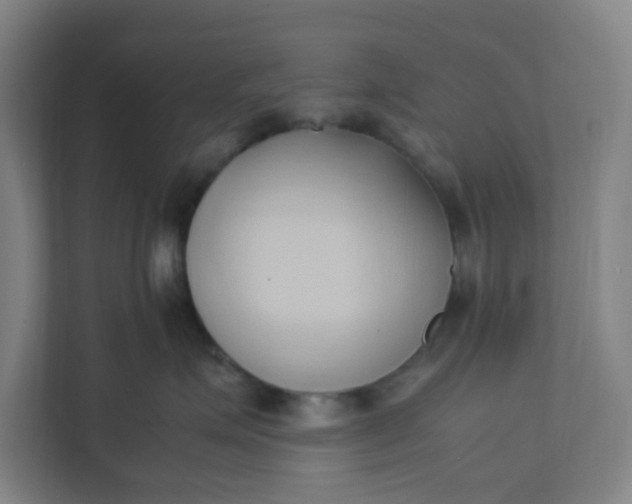 X0000111950623200908101223