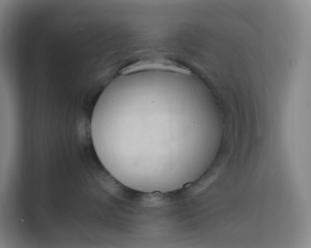 X0000111950624200908101223