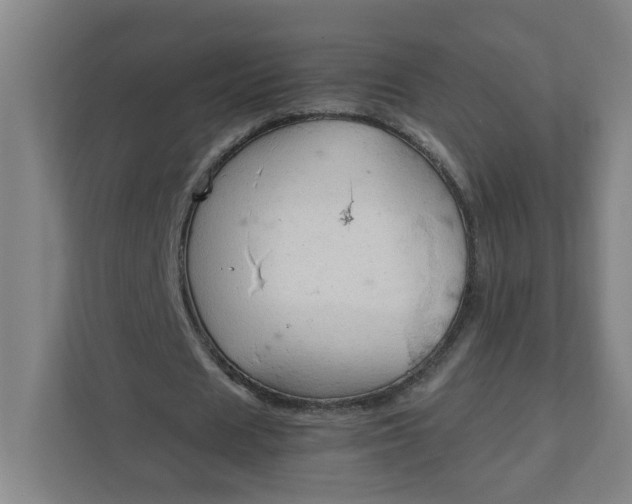 X0000111950625200908101223