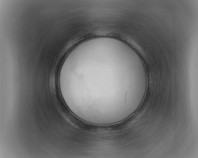 X0000111950626200908101223