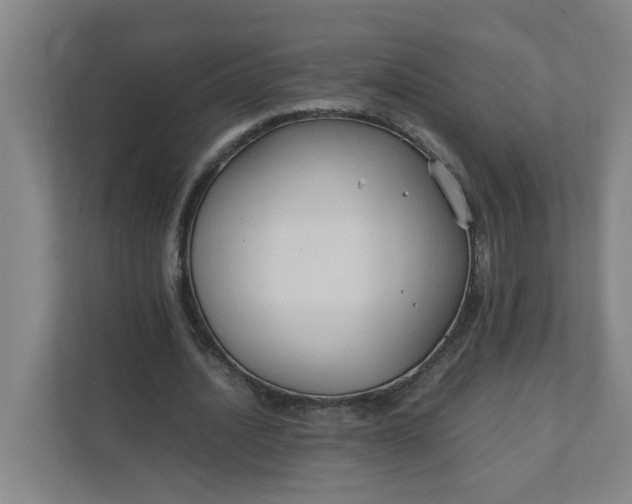 X0000111950628200908101223