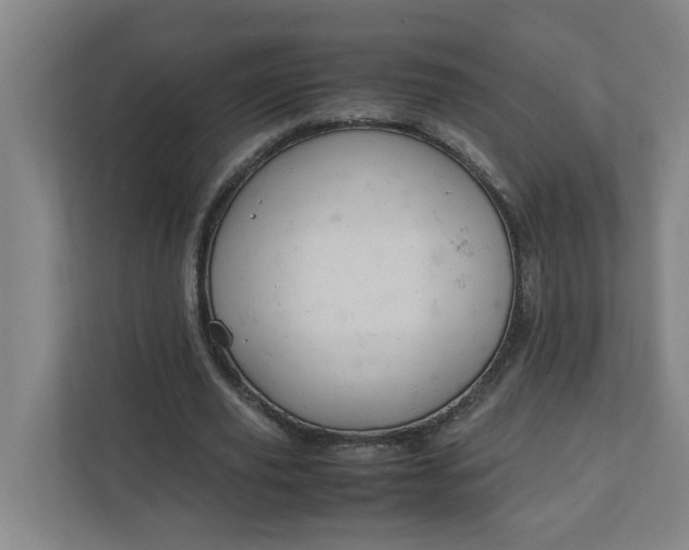 X0000111950629200908101223