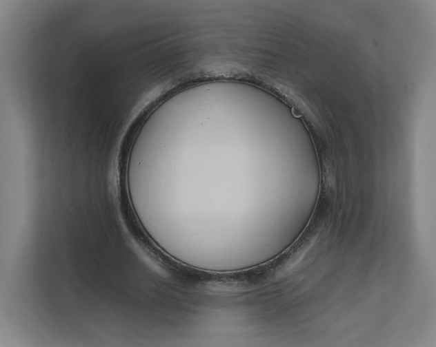 X0000111950630200908101223