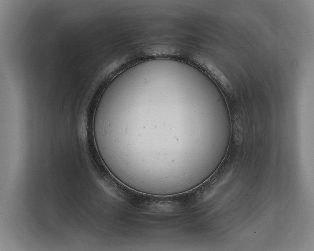 X0000111950631200908101223