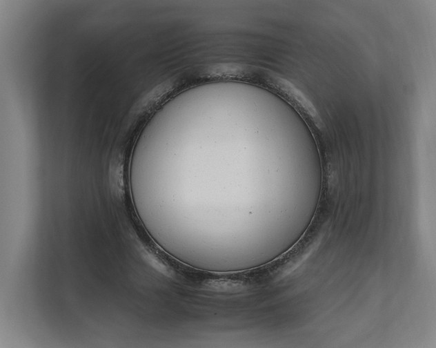 X0000111950633200908101223