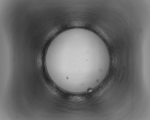 X0000111950635200908101223