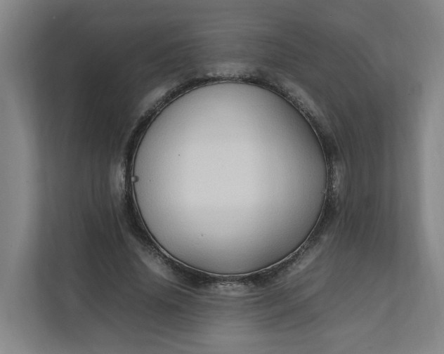 X0000111950636200908101223