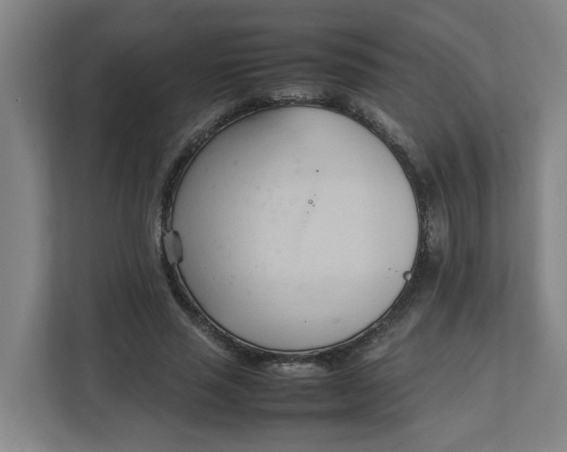 X0000111950637200908101223