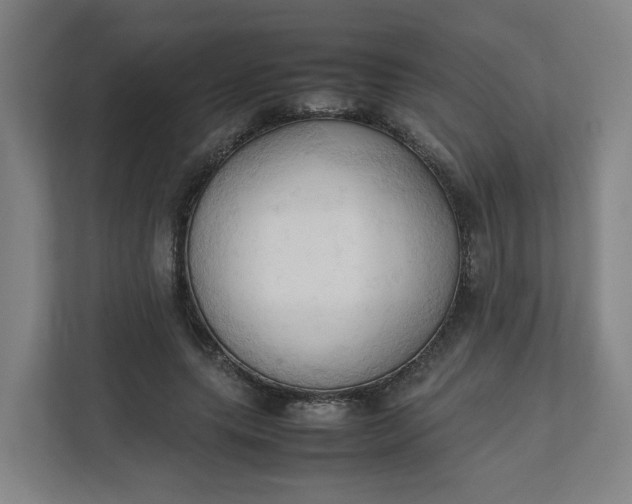 X0000111950639200908101223