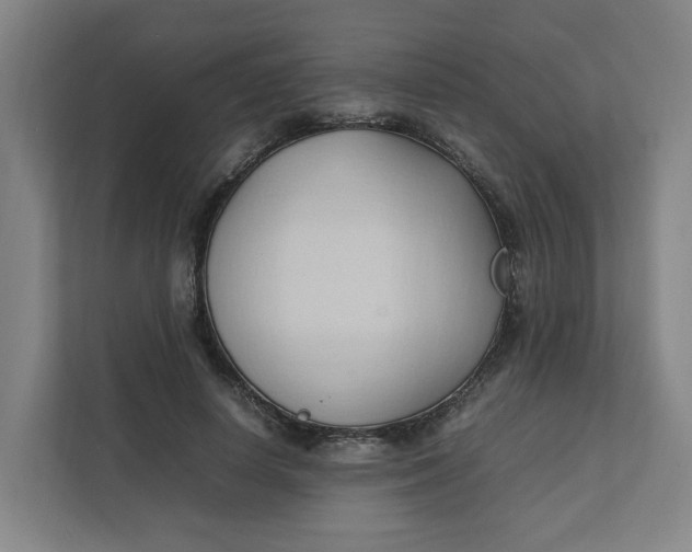 X0000111950642200908101223