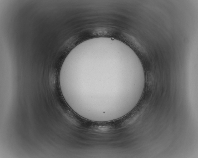 X0000111950645200908101223