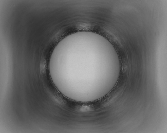 X0000111950647200908101223