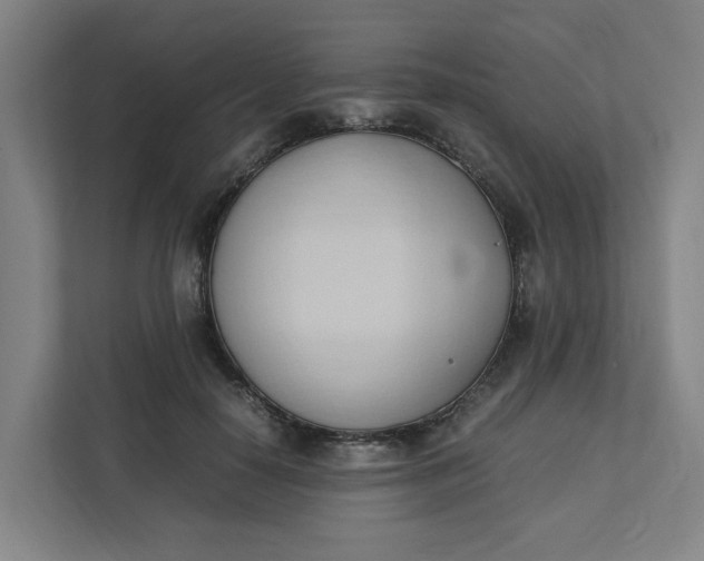 X0000111950650200908101223