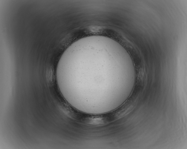 X0000111950651200908101223