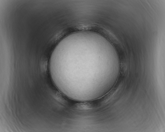 X0000111950652200908101223