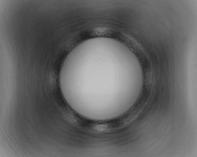 X0000111950653200908101223