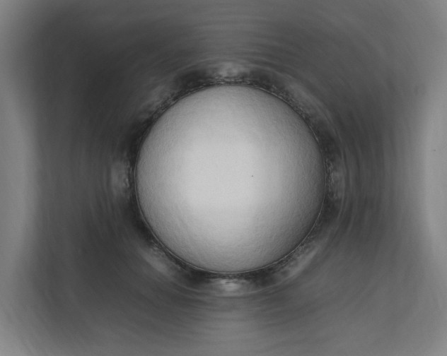 X0000111950654200908101223