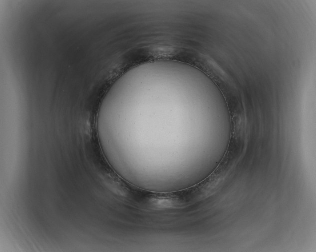 X0000111950655200908101223