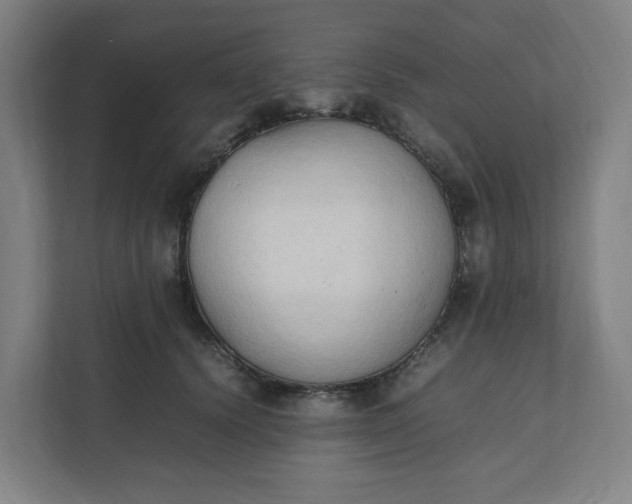 X0000111950656200908101223