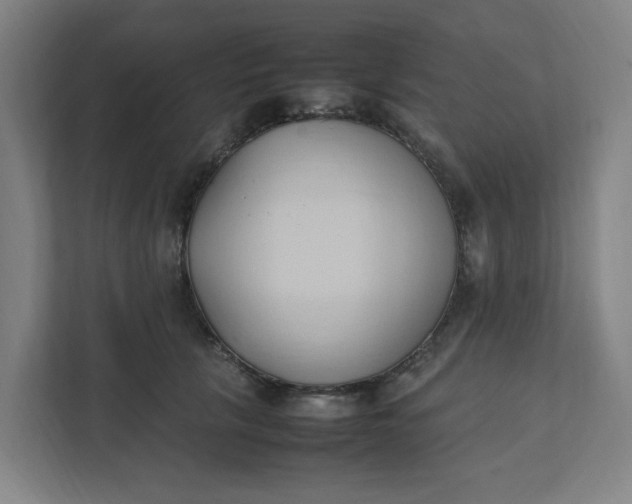 X0000111950657200908101223